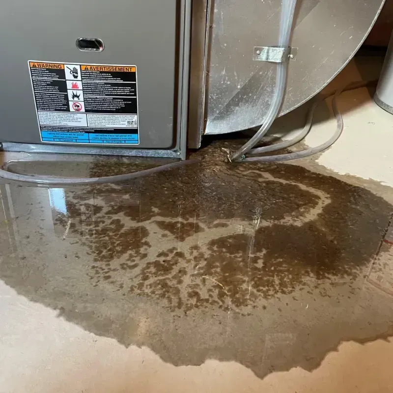 Appliance Leak Cleanup in Spearfish, SD